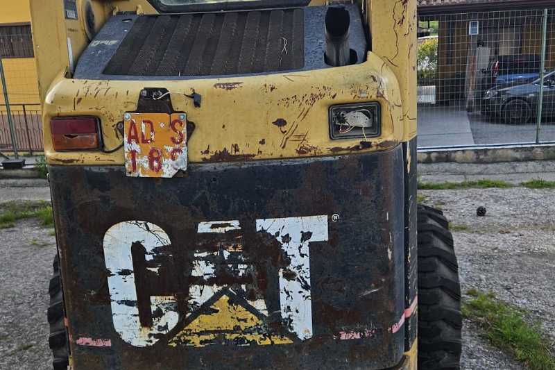 OmecoHub - Immagine CATERPILLAR 248HF